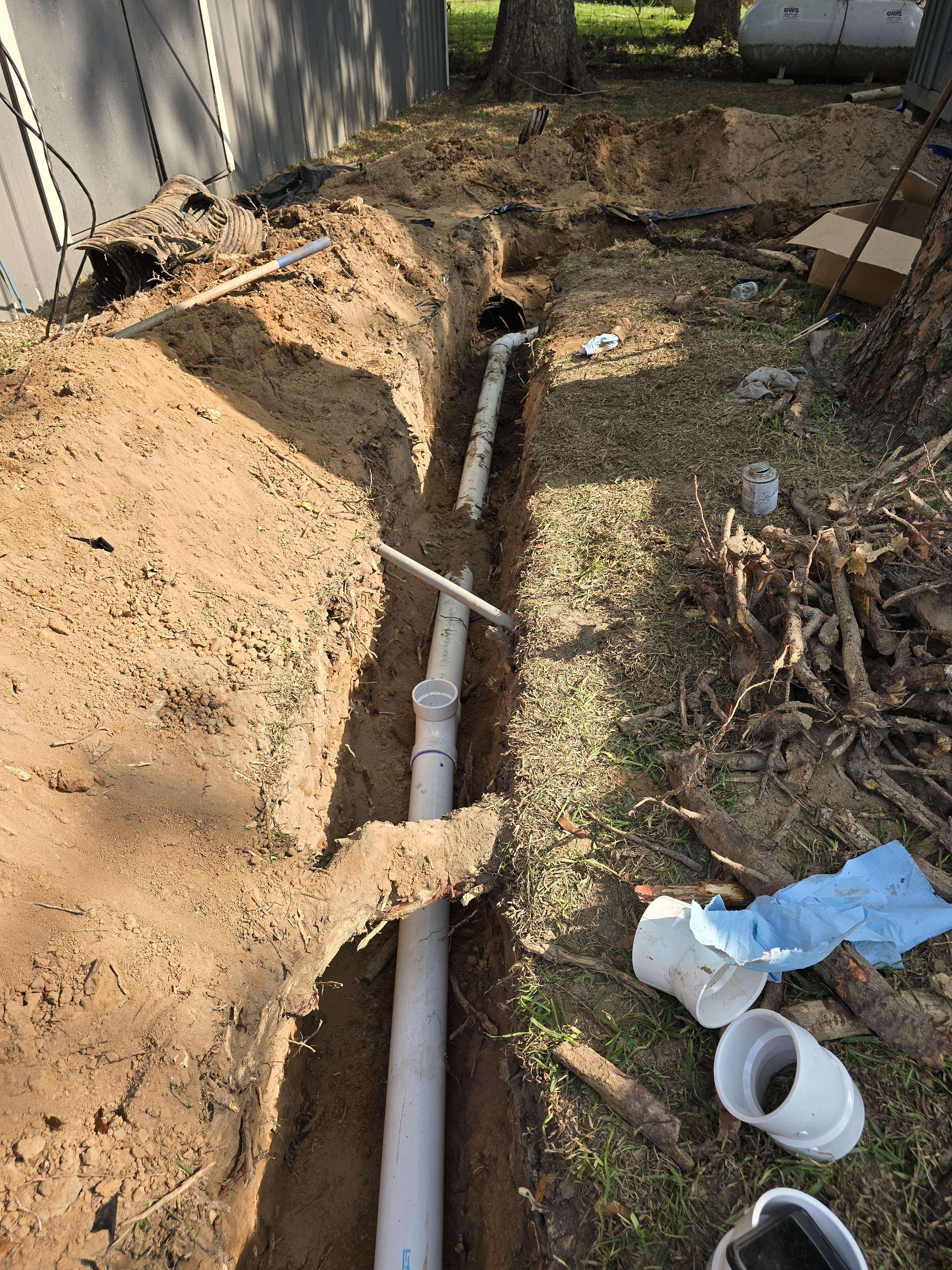 Field work, May 20
